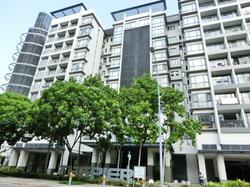 The Pier at Robertson (D9), Apartment #144694212